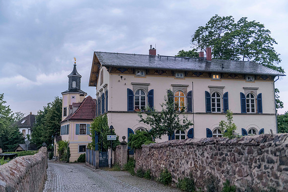 20250602 Radebeul 850_4062 © Ludo Segers Photography