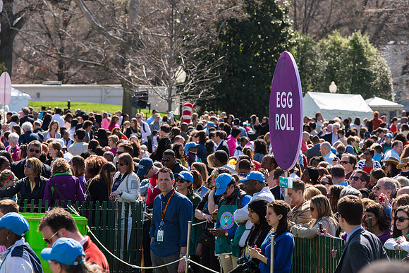 Egg Roll South Lawn