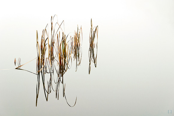 Near Trakai 40 x 60  4/35