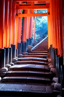 20180318 Kyoto Fuchimi Inari 2269 © Ludo Segers Photography copy