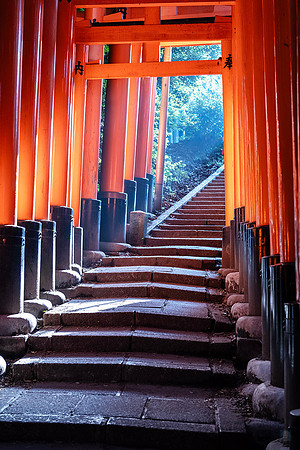 20180318 Kyoto Fuchimi Inari 2269 © Ludo Segers Photography copy