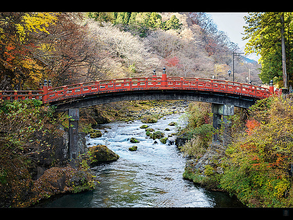 20251124 Nikko 7135 © Ludo Segers Photography
