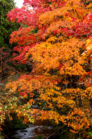 20180313 Koyasan 1443 © Ludo Segers Photography copy