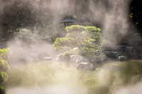 20251106 Fukuoka Hakata 1230n34 Copyright Ludo Segers Photography