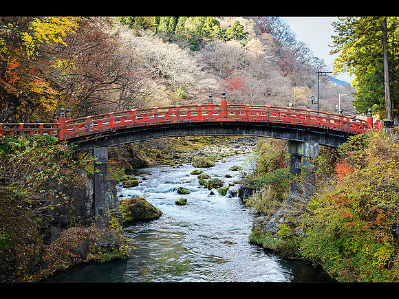20251124 Nikko 7135 © Ludo Segers Photography