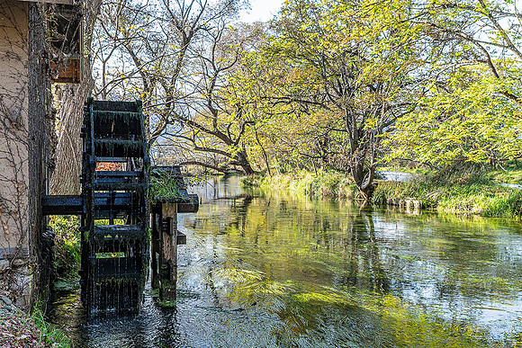 20251119 Hotaka Wasabi 3166 © Ludo Segers Photography