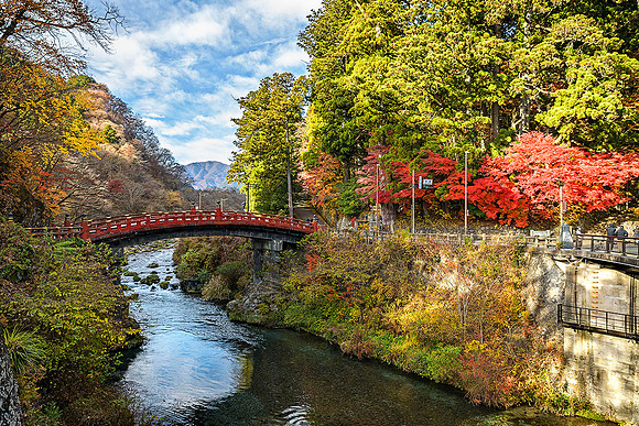 20251124 Nikko 7140 © Ludo Segers Photography