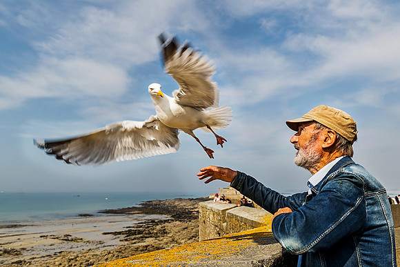 Saint Malo: An elderly man feeds a seagull on the coastal rocks of Saint Malo, France