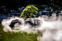 Fukuoka Hakata: A mist-shrouded Japanese garden in Fukuoka Hakata featuring lush greenery and calm water