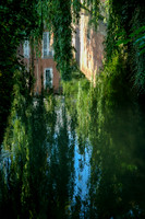 Beguinage Leuven: Lush green ivy cascades down ancient brick walls, reflecting in the serene water below