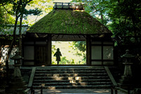 Honen-In Kyoto: A lone figure stands framed within the shadows of a traditional moss-covered gate.