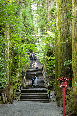 20180227 Hakone 0449 Copyright Ludo Segers Photography