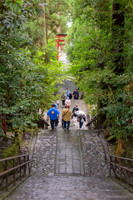 20180227 Hakone 0457 Copyright Ludo Segers Photography