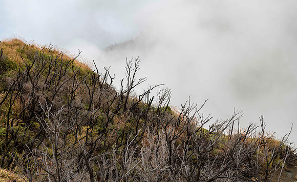 20180227 Hakone Earth Valley Owakudani 0475 Copyright Ludo Segers Photography