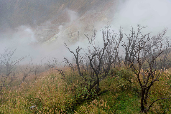 20180227 Hakone Earth Valley Owakudani 0478 Copyright Ludo Segers Photography