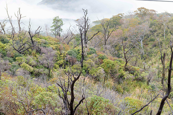 20180227 Hakone Earth Valley Owakudani 0483 Copyright Ludo Segers Photography