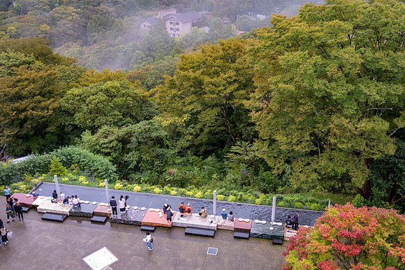 20180227 Hakone Open Air Museum 0406 Copyright Ludo Segers Photography