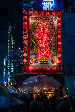 20251022 Tokyo 0071 Copyright Ludo Segers Photography