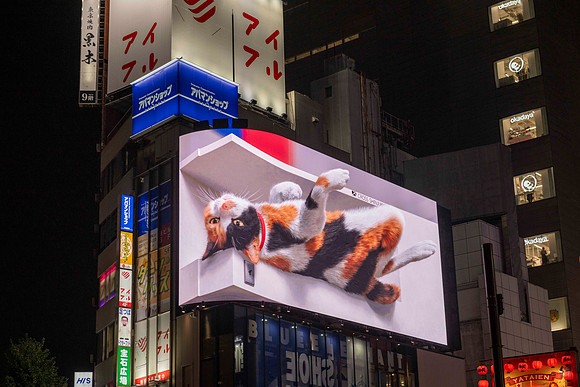 20251022 Tokyo 0073 Copyright Ludo Segers Photography