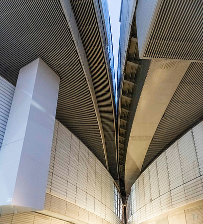 20251023 Tokyo 0234 Copyright Ludo Segers Photography