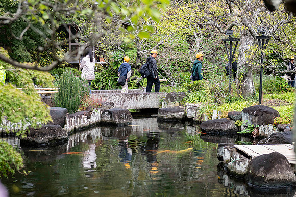 20251024 Kamakura 0244 Copyright Ludo Segers Photography