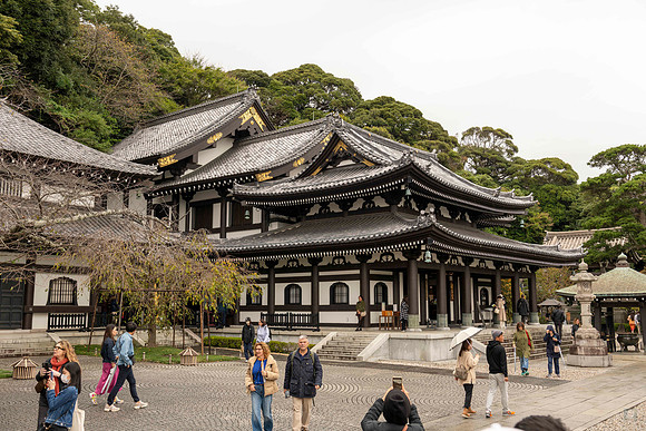 20251024 Kamakura 0250 Copyright Ludo Segers Photography
