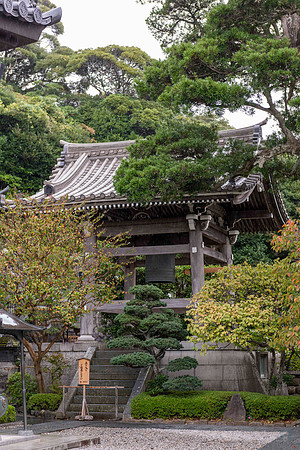 20251024 Kamakura 0259 Copyright Ludo Segers Photography