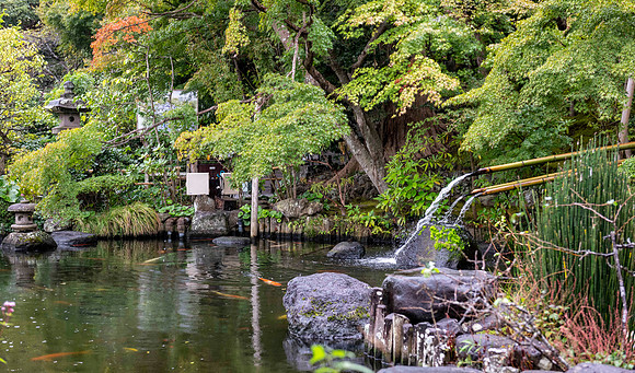 20251024 Kamakura 0261 Copyright Ludo Segers Photography