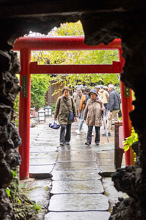 20251024 Kamakura 0262 Copyright Ludo Segers Photography