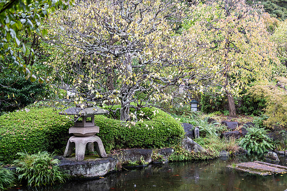 20251024 Kamakura 0271 Copyright Ludo Segers Photography