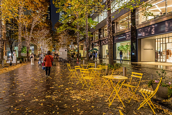 Vilnius: A vibrant reflection of historic Vilnius architecture in a rain-slicked cobblestone street
