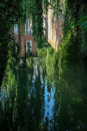Beguinage Leuven: Lush green ivy cascades down ancient brick walls, reflecting in the serene water below