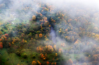 Vilniius Autumn An ethereal aerial view of a forest in Vilnius shrouded in soft, colourful autumn mist