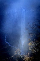 Form & Focus