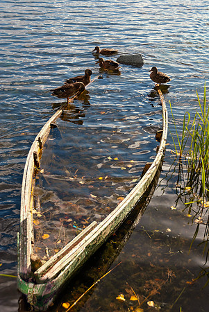 Trakai Boat