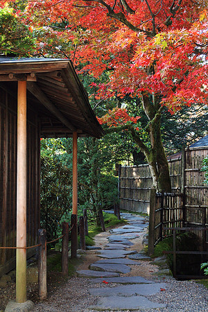 Nikko