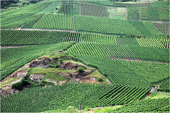Mosel, Germany