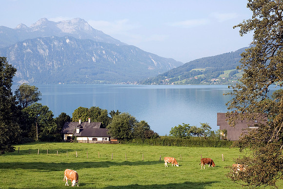 Room with a View Austria