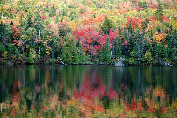 Near Tadoussac
