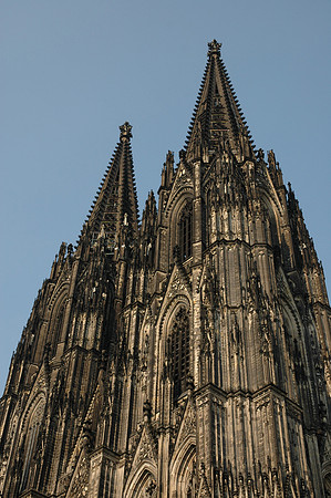 Cologne