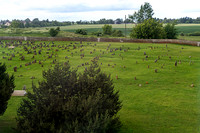 Cemetary 260616 Lost Shtetl Museum in Seduva 9527 © Ludo Segers Photography 2026 - Copy