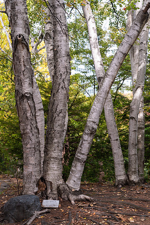 261005 Sapporo Japan 850_1681 © Ludo Segers Photography 2026