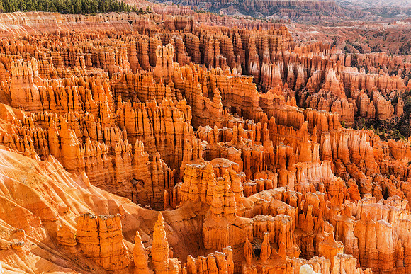 Early morning at Bryce Canyon