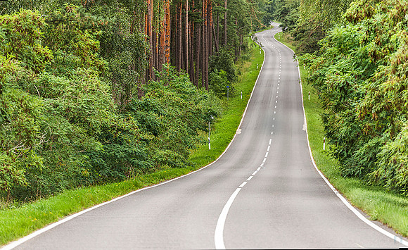 230810 Preila Road  Neringa Lithuania 5740 Photo © Ludo Segers
