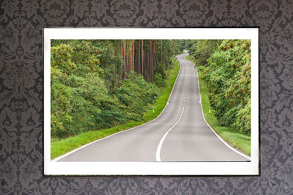 MOCK UP of background Voke Traku Dvaras Vilnius Ian 6646 Photo © LudoSegers_