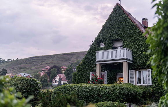 20250602 Radebeul 850_4061 © Ludo Segers Photography