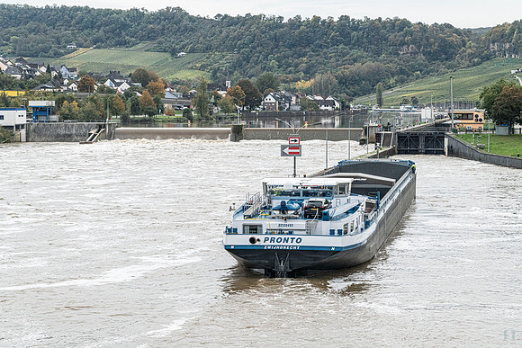 241012 Grevenmacher 850_9707 Photo © Ludo Segers 2024