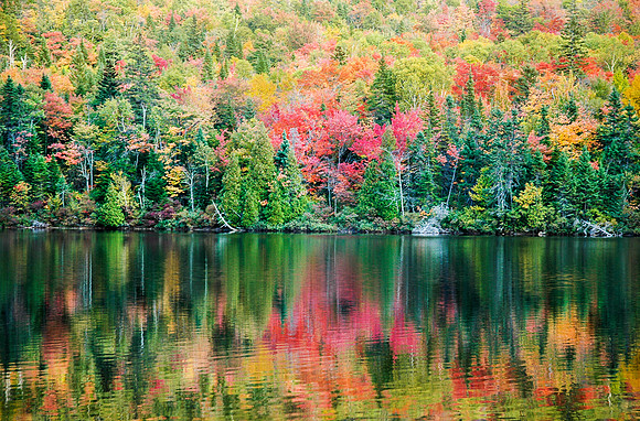 Near Tadoussac