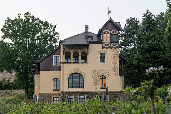 20250602 Radebeul 850_4052 © Ludo Segers Photography