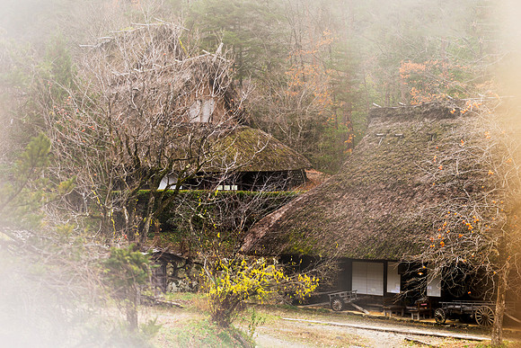 151119 Takayama Japan 156 157 Photo Ludo Segers